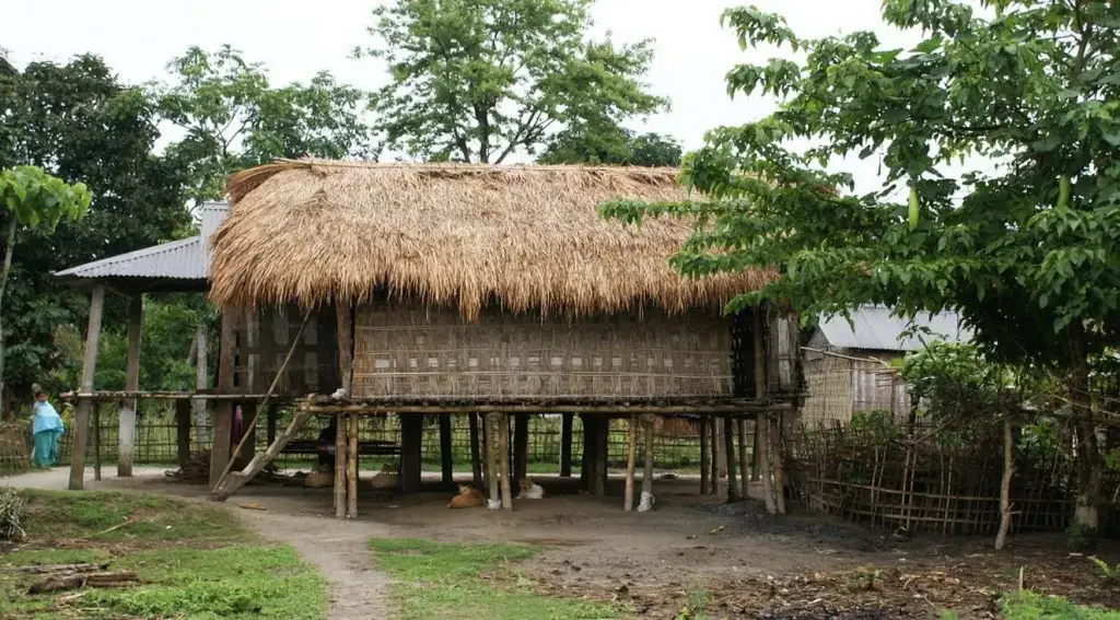 Bamboo House of Assam Image